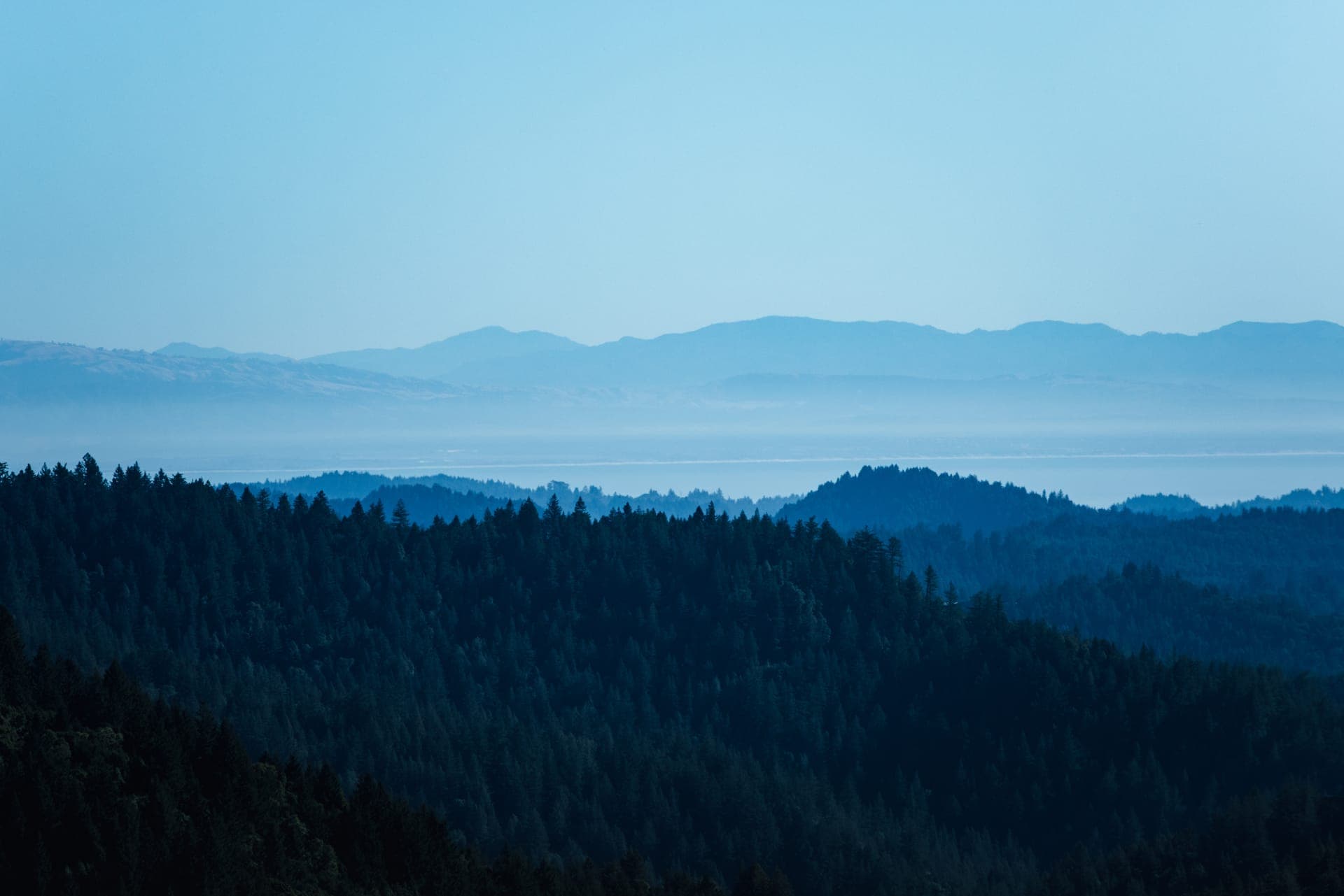 LANDS