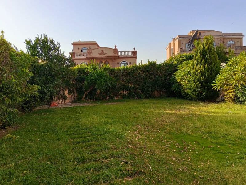 Luxury Palace for Sale in Moon Land Compound – Sheikh Zayed - photo 5
